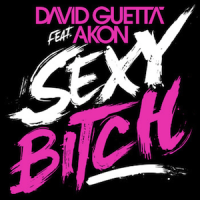 Akon & David Guetta – Sexy Bitch